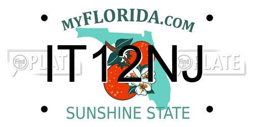 IT12NJ Florida License Plate