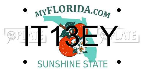 IT13EY Florida License Plate