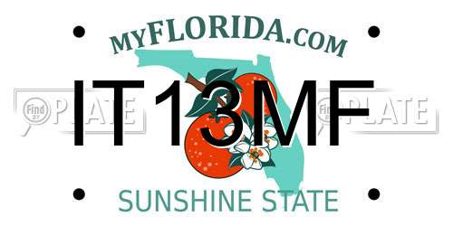 IT13MF Florida License Plate