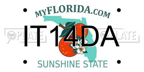 IT14DA Florida License Plate