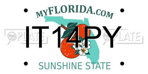 IT14PY Florida License Plate