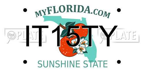 IT15TY Florida License Plate