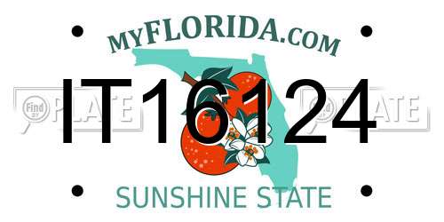 IT16124 Florida License Plate