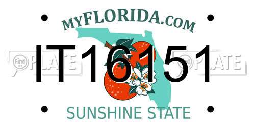 IT16151 Florida License Plate