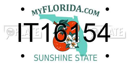 IT16154 Florida License Plate