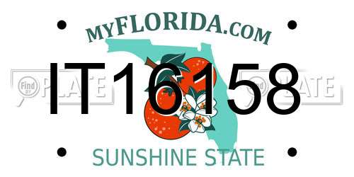 IT16158 Florida License Plate