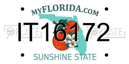 IT16172 Florida License Plate