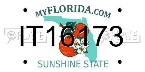 IT16173 Florida License Plate