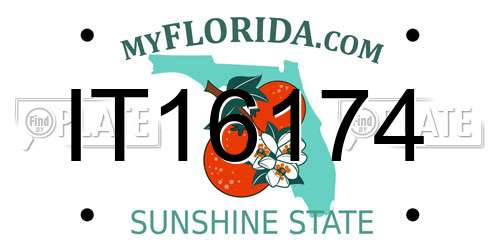 IT16174 Florida License Plate