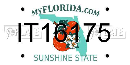 IT16175 Florida License Plate