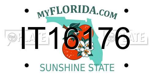 IT16176 Florida License Plate