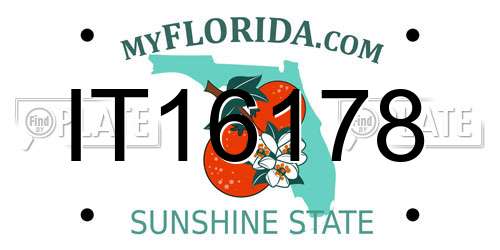 IT16178 Florida License Plate