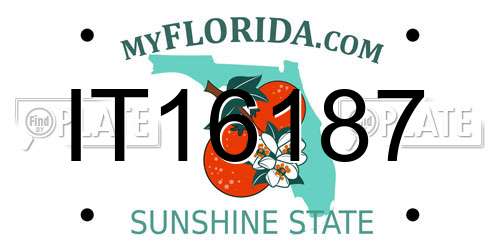 IT16187 Florida License Plate