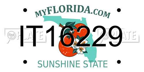 IT16229 Florida License Plate