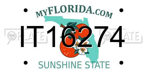 IT16274 Florida License Plate