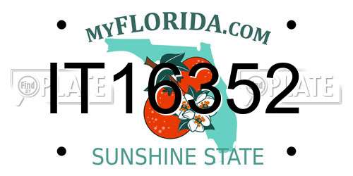 IT16352 Florida License Plate