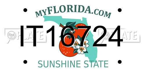 IT16724 Florida License Plate