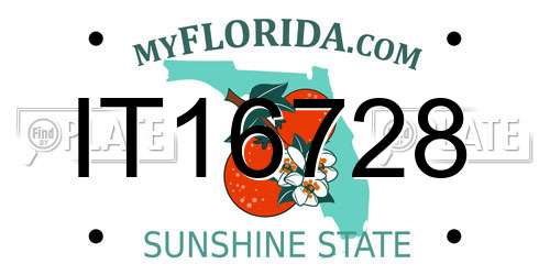 IT16728 Florida License Plate