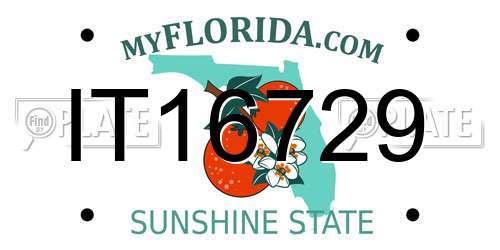 IT16729 Florida License Plate