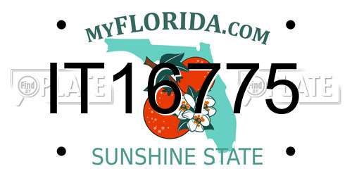 IT16775 Florida License Plate