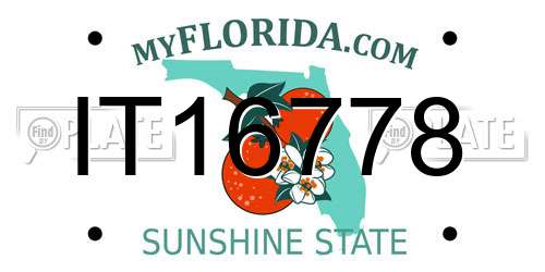 IT16778 Florida License Plate