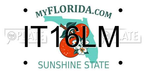 IT16LM Florida License Plate