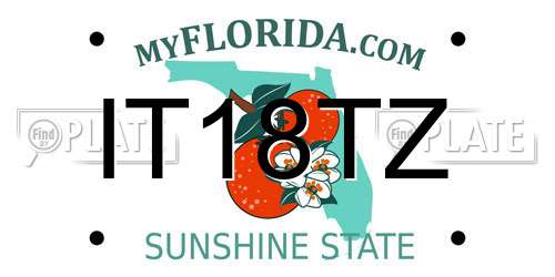 IT18TZ Florida License Plate