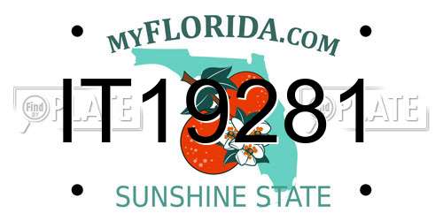 IT19281 Florida License Plate