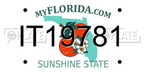 IT19781 Florida License Plate