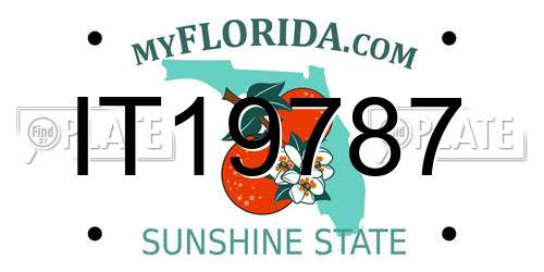 IT19787 Florida License Plate
