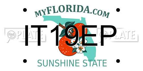 IT19EP Florida License Plate