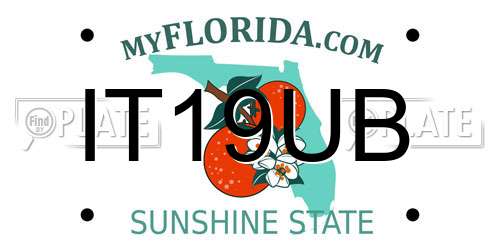 IT19UB Florida License Plate