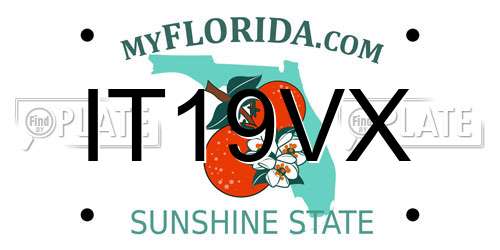 IT19VX Florida License Plate