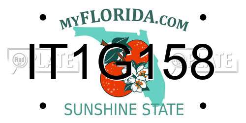 IT1G158 Florida License Plate