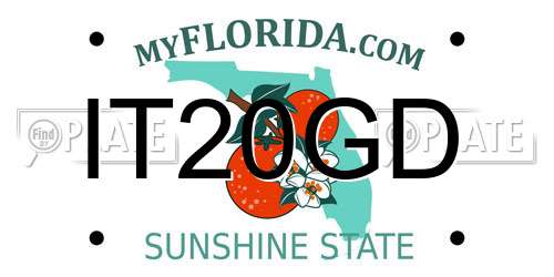 IT20GD Florida License Plate