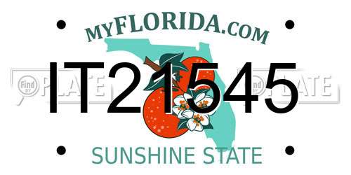 IT21545 Florida License Plate