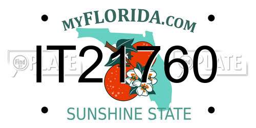 IT21760 Florida License Plate