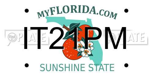 IT21PM Florida License Plate