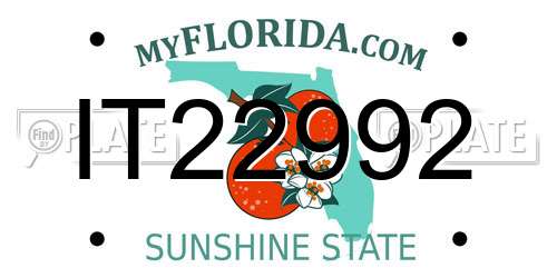 IT22992 Florida License Plate