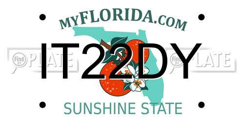 IT22DY Florida License Plate