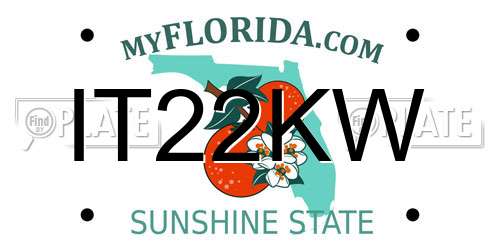 IT22KW Florida License Plate