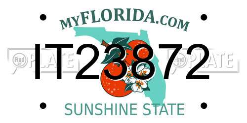 IT23872 Florida License Plate