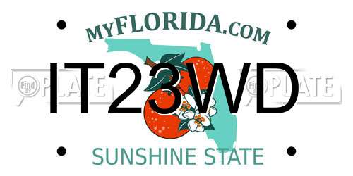 IT23WD Florida License Plate