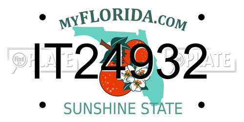 IT24932 Florida License Plate