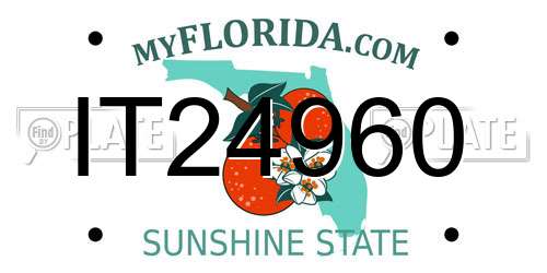 IT24960 Florida License Plate
