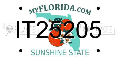 IT25205 Florida License Plate