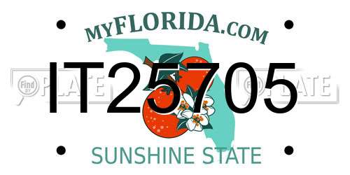 IT25705 Florida License Plate