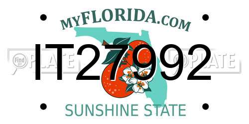 IT27992 Florida License Plate