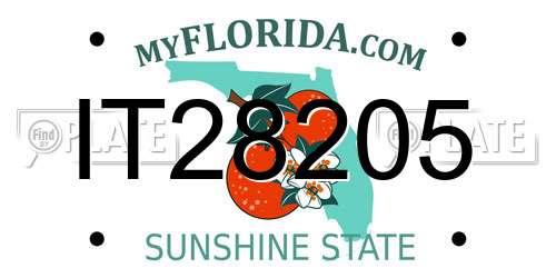 IT28205 Florida License Plate