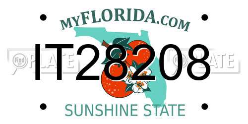 IT28208 Florida License Plate